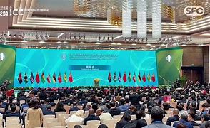 赛地聚焦——葡超集结日热度飙升，印第安纳步行者单刀错失，管理层满意，资深球员宣示担当的简单介绍